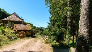 Landelijk tafereel met een onverhard pad dat naar een huis met pannendak leidt, omringd door groen en een grote potplant.