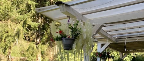 Terrain de lâhĂ©bergement