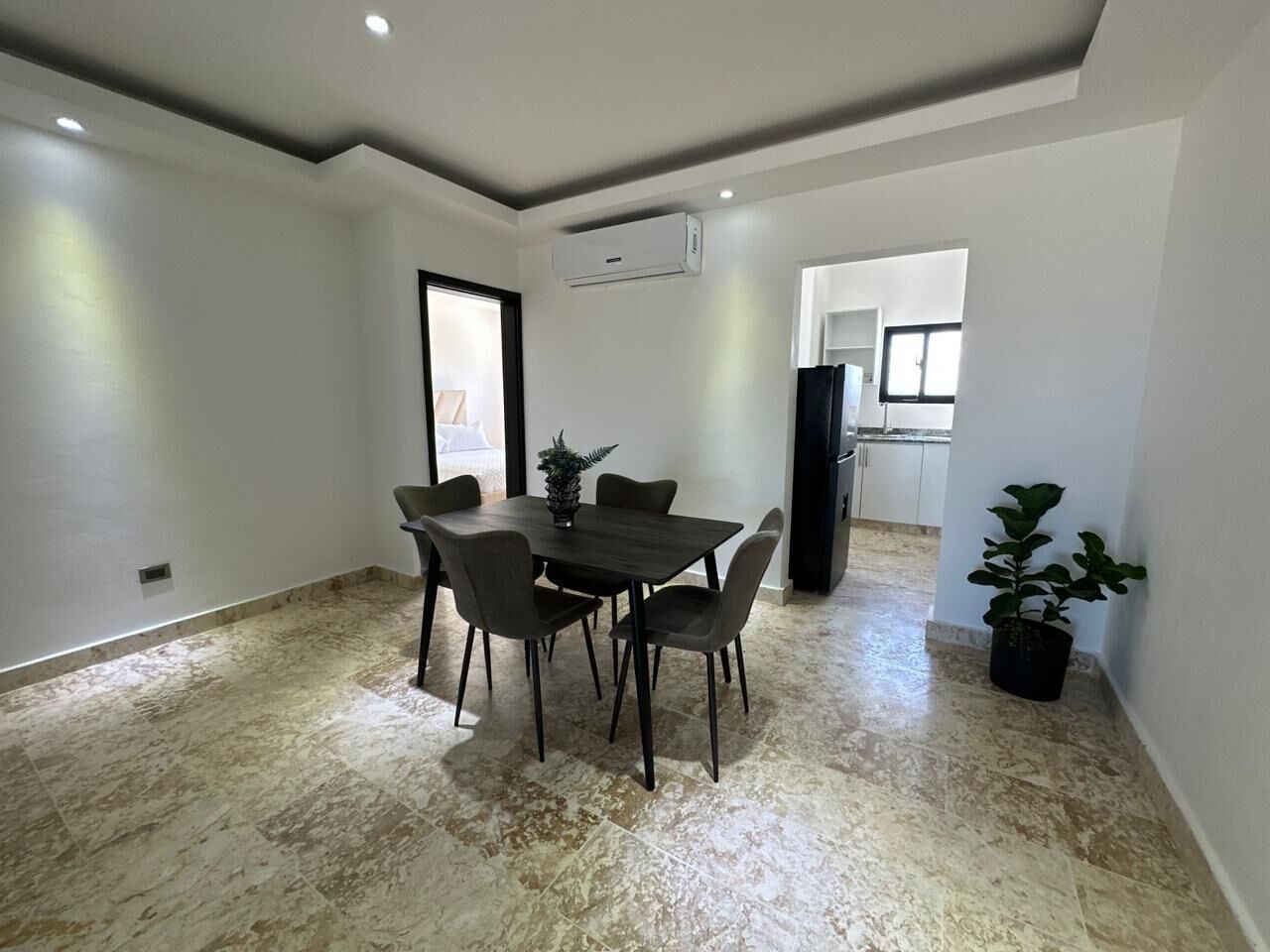 A dining area with a table and chairs, an air conditioning unit, and a potted plant.