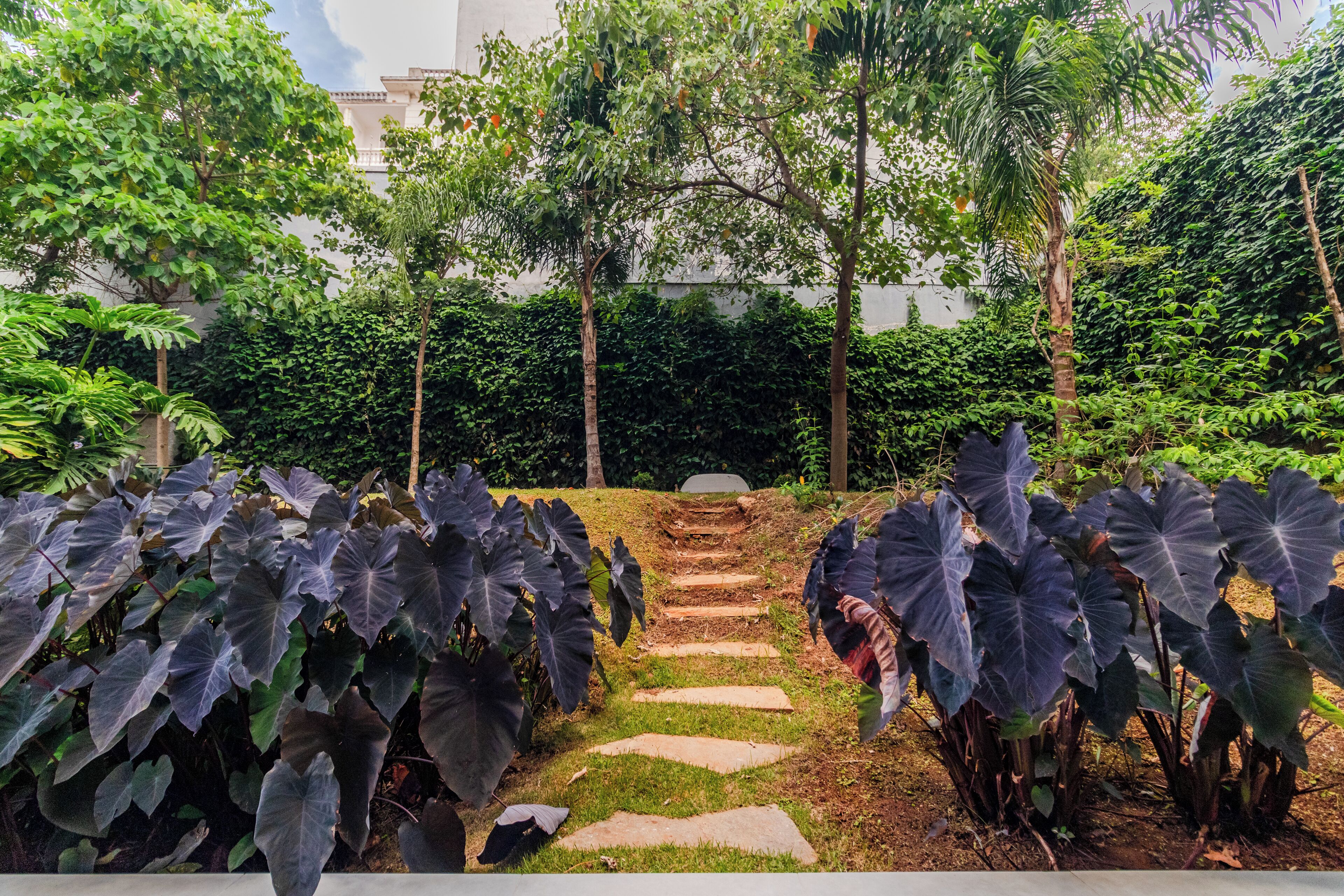 Área da propriedade