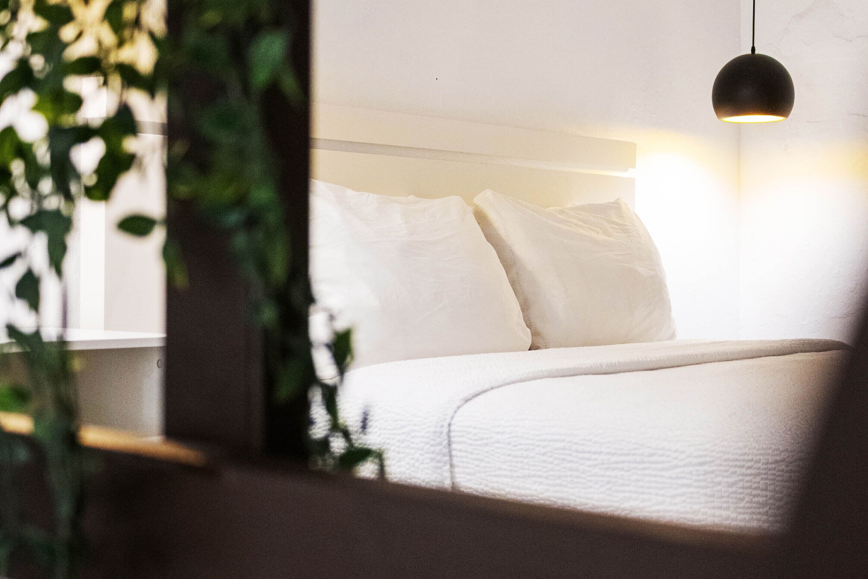 Loft | Free WiFi