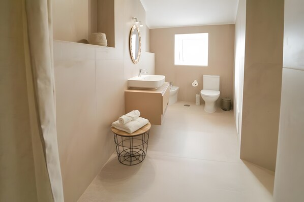 Shower, hair dryer, towels