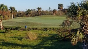 A golf course with a well-maintained green, surrounded by palm trees and other vegetation. - 1720 SW 19th PL (Cape Coral)