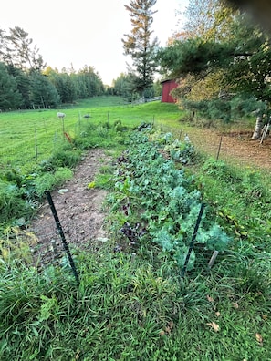 Overnattingsstedets uteområder