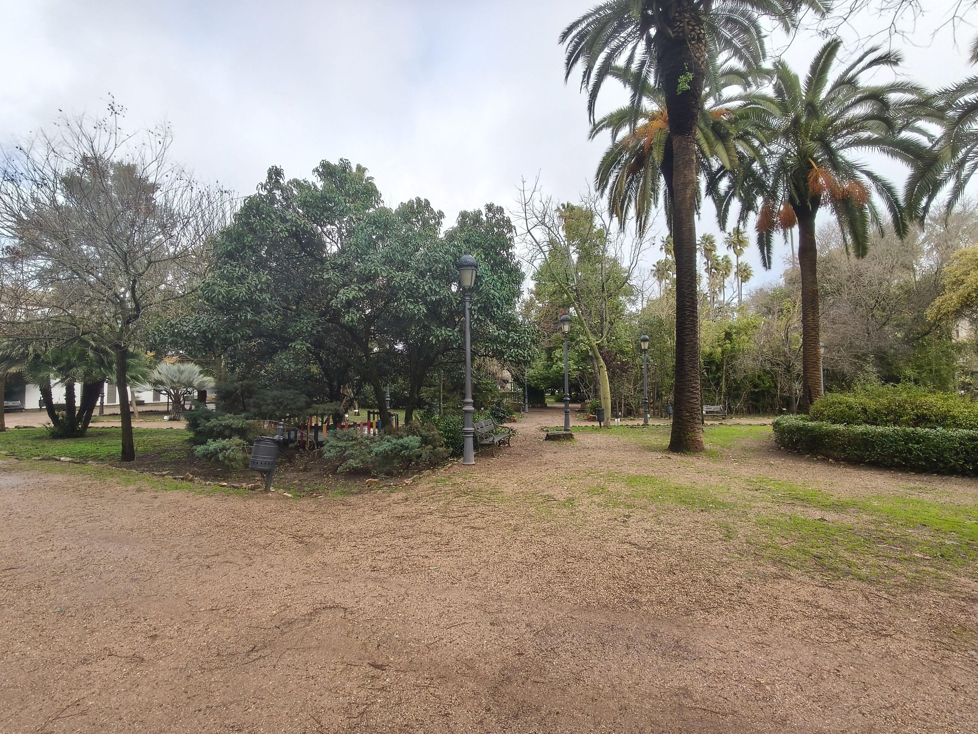 A park with various trees, a pathway, and a lamp post.