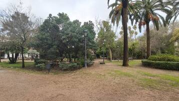 A park with various trees, a pathway, and a lamp post.