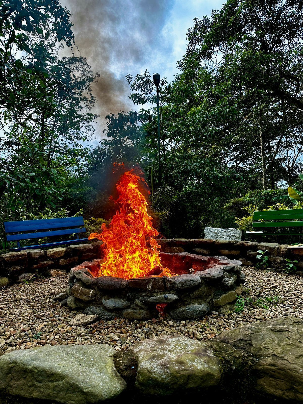 Et bål i en stenkoldning omgivet af sten og vegetation, med en bænk og et træ i baggrunden.