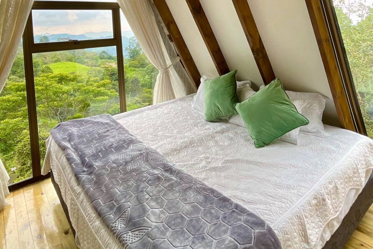 A high-ceilinged room with a large bed, wooden beams, and a view of greenery outside.