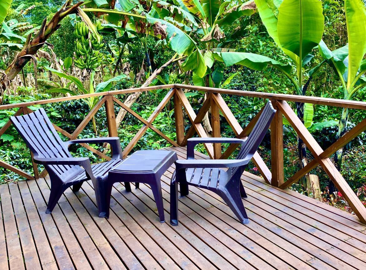 A wooden deck with two plastic chairs and a small table, surrounded by lush greenery.