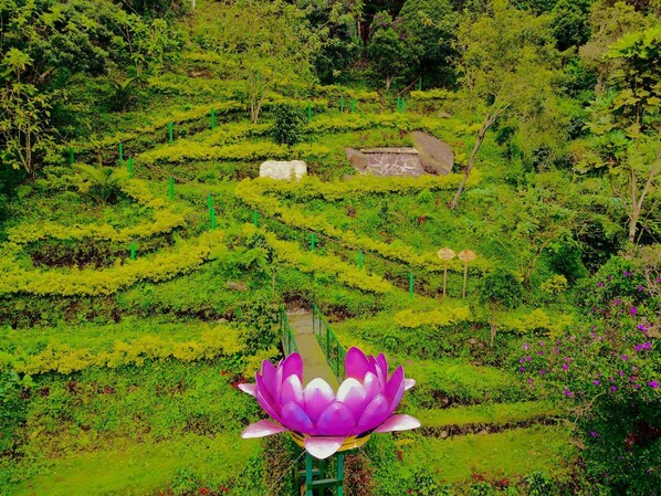 Property grounds - Descubre tu regalo (La Vega)