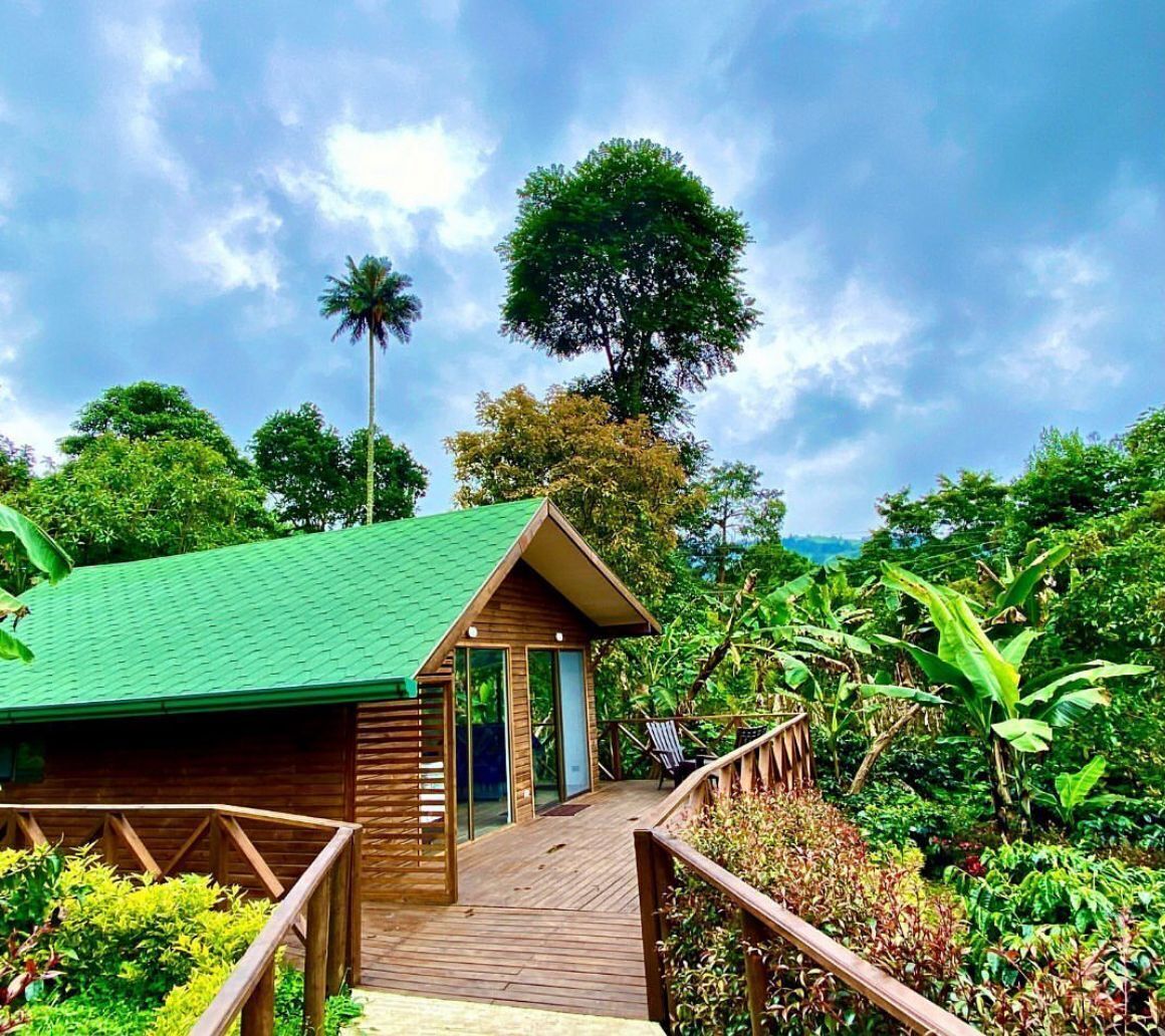 Cabin, Balcony, Mountain View