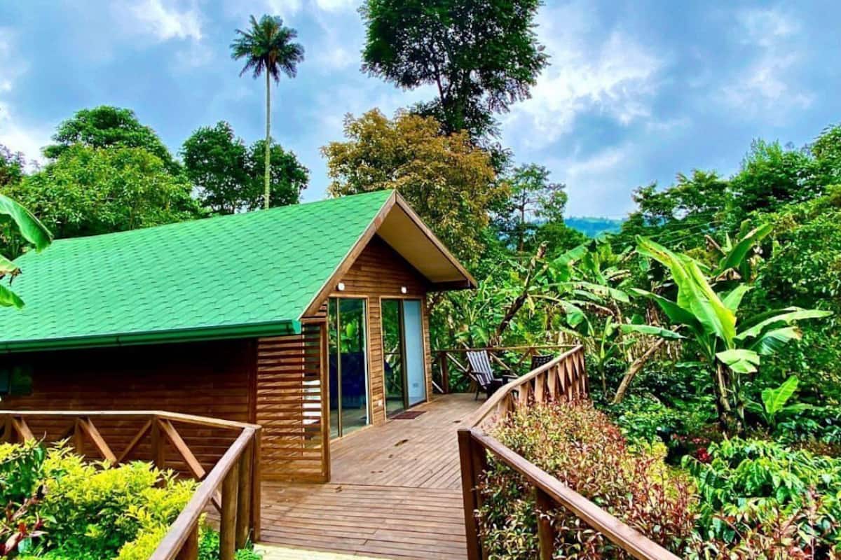 A wooden cabin with a green roof, surrounded by lush greenery and a wooden deck leading to the entrance.