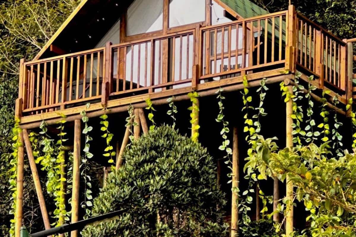 Laptop workspace, free WiFi