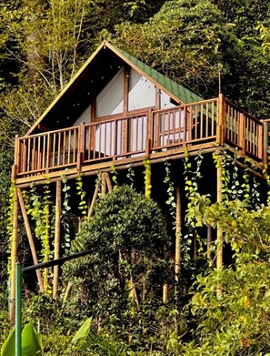 Luxury Cabin, Balcony, Mountain View | Front of property - Descubre tu regalo (La Vega)