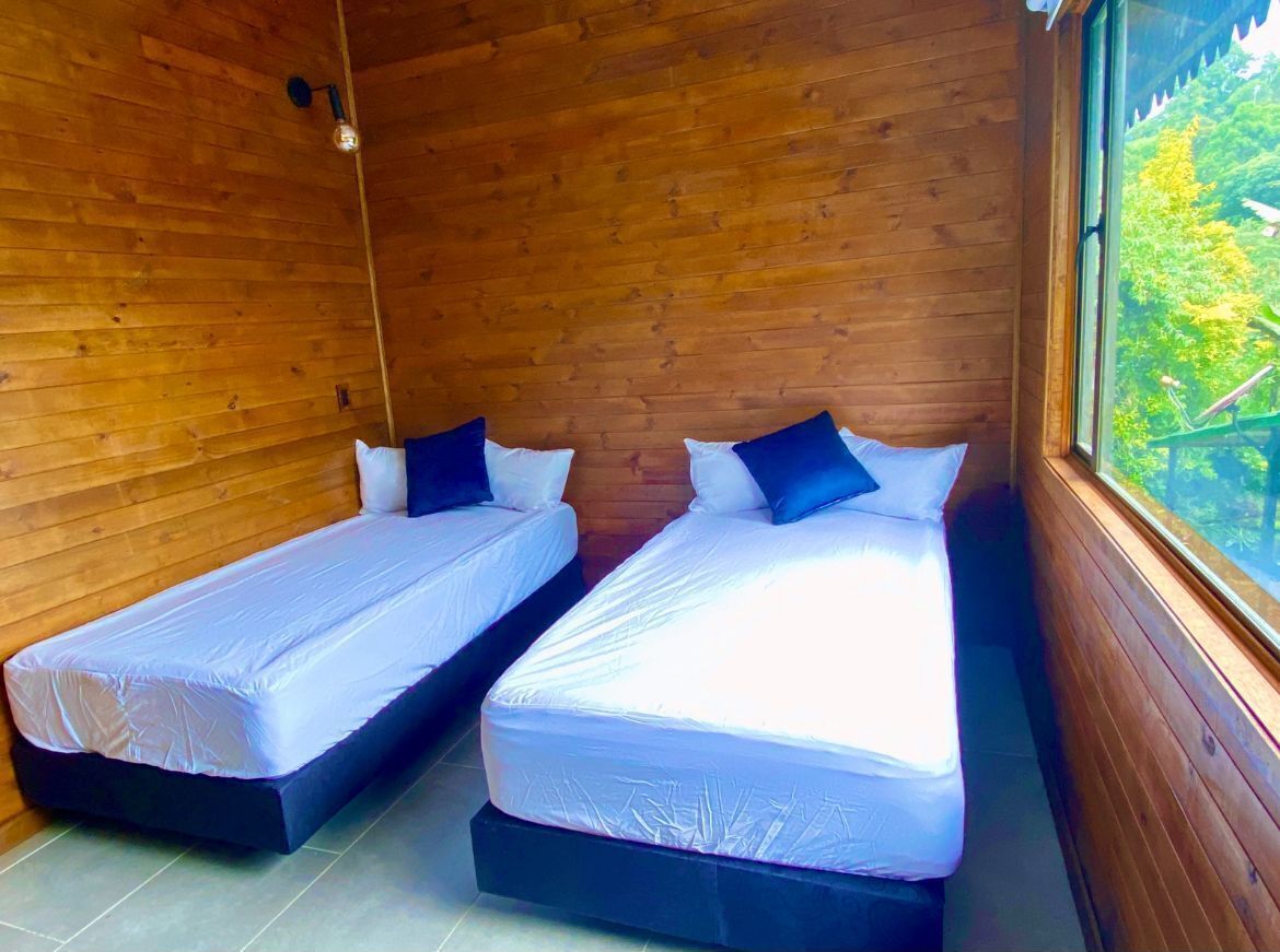 Two single beds with white linens and dark pillows in a wooden cabin room with a large window.