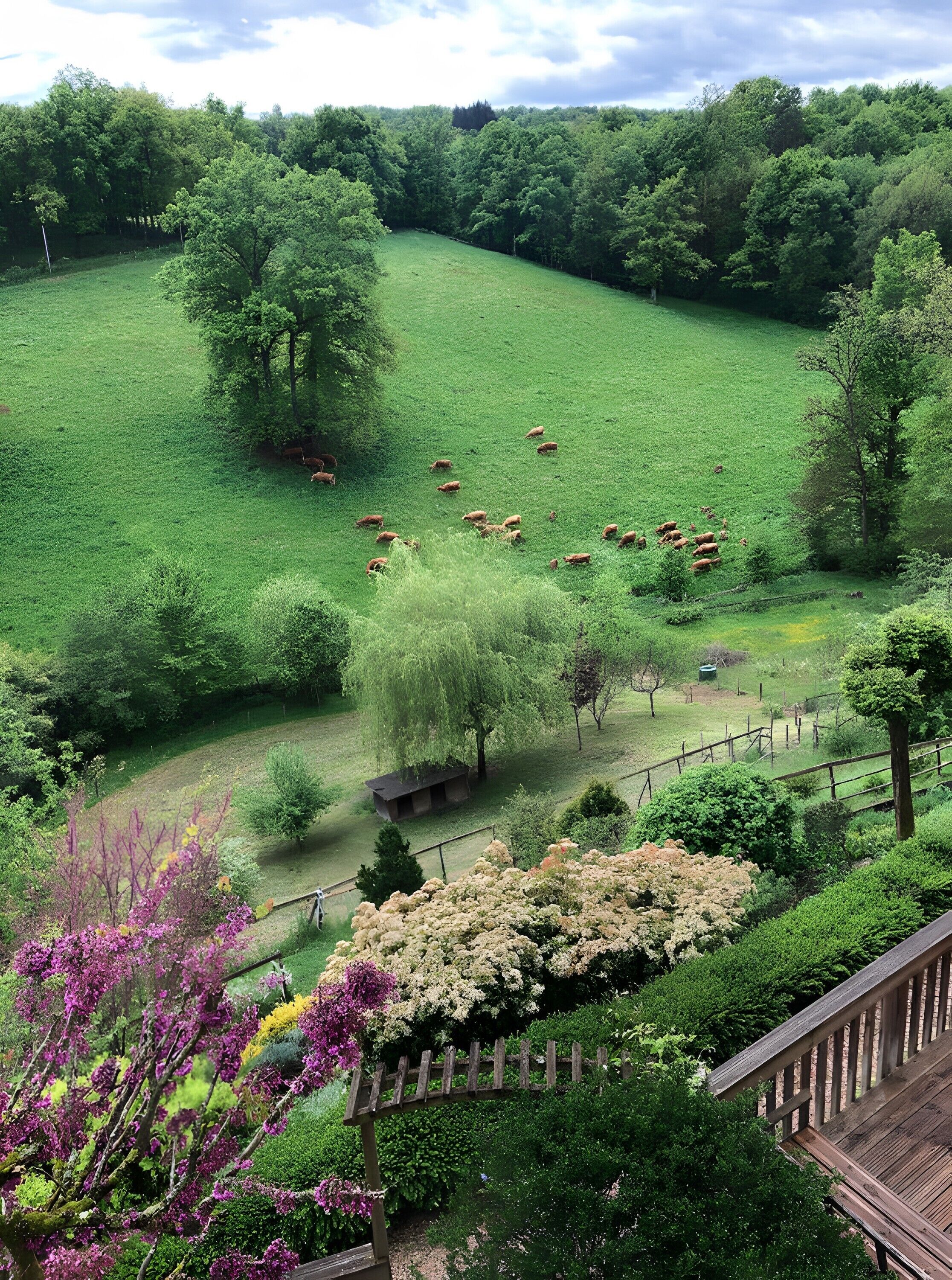 Enceinte de l’hébergement