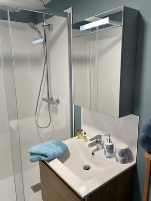 Shower, hair dryer, towels