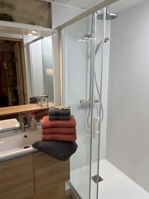 Shower, hair dryer, towels