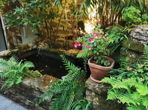 Property grounds - Colibri Guest Room with Shared Pool, Covered Terrace and Wi-Fi (Felzins)