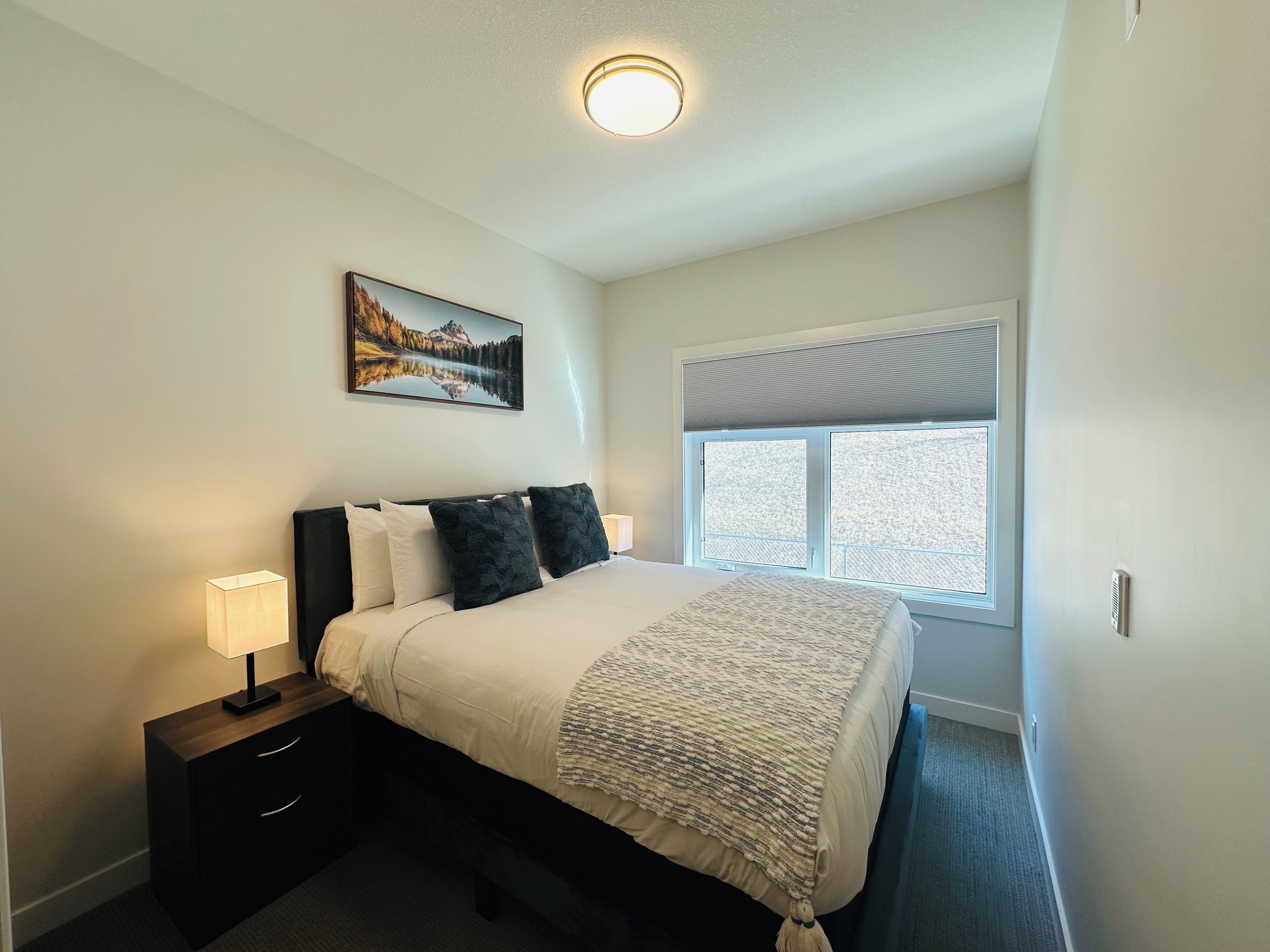 Blackout drapes, iron/ironing board, free WiFi