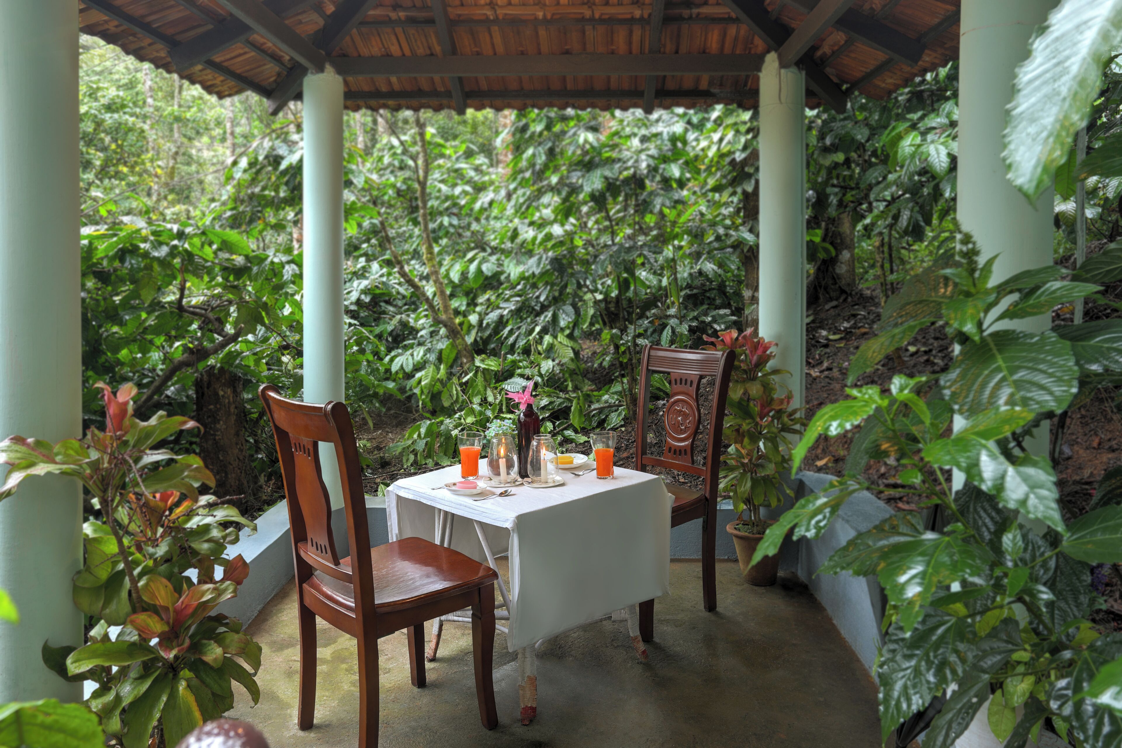 A covered outdoor dining area with a table set for two, surrounded by lush greenery.