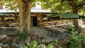 An outdoor dining area with tables and chairs, surrounded by trees and covered by umbrellas. - Au Sans Souci (Saint-Paul-lès-Monestier)