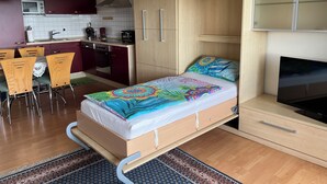 A compact studio apartment with a kitchenette, a bed with a colorful bedspread, a TV, and a small wooden cabinet. - Northern Black Forest vacation app. 44 sqm, Dieter Hoffmann Freudenstadt-Kniebis. (Freudenstadt)