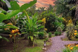 Terrain de l’hébergement 