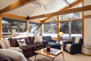 Älytelevisio, takka