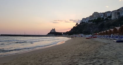 Newly renovated furnished studio apartment in the Center of funds LT