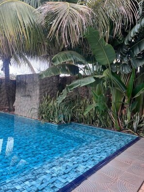 Une piscine à l’eau d’un bleu cristallin, entourée d’une végétation luxuriante comprenant des palmiers et de grandes feuilles.