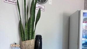 Un área de recepción con dos relojes de pared, una planta en maceta, una cafetera y una vitrina de vidrio con donas.