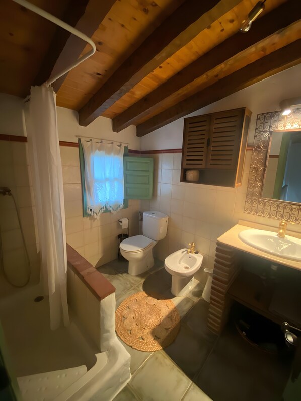 A bathroom with a toilet, bidet, shower, and sink. - El Olivarillo – Charming Accommodation for a Nature Getaway (Frigiliana)