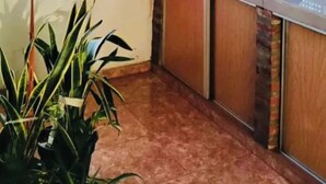 A kitchen with a window, red and yellow curtains, a stainless steel range hood, and a potted plant. - Bright Apartment with Green View, AC and WiFi - Close to the Beach Resort (Río Tercero)