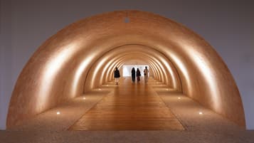A tunnel-like structure with a wooden floor and walls, illuminated by ceiling lights.