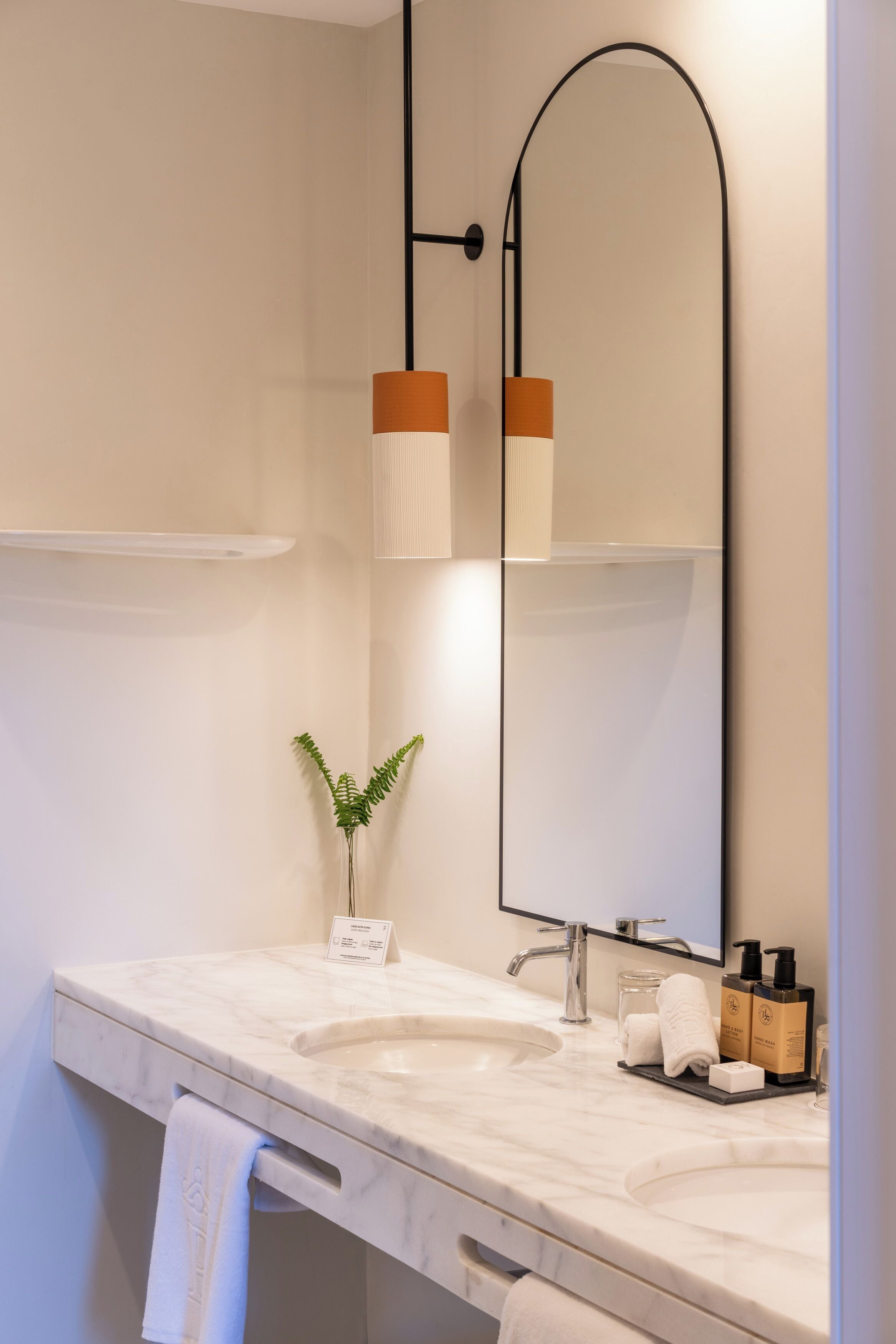 A modern bathroom with two sinks, a large mirror, and a plant.
