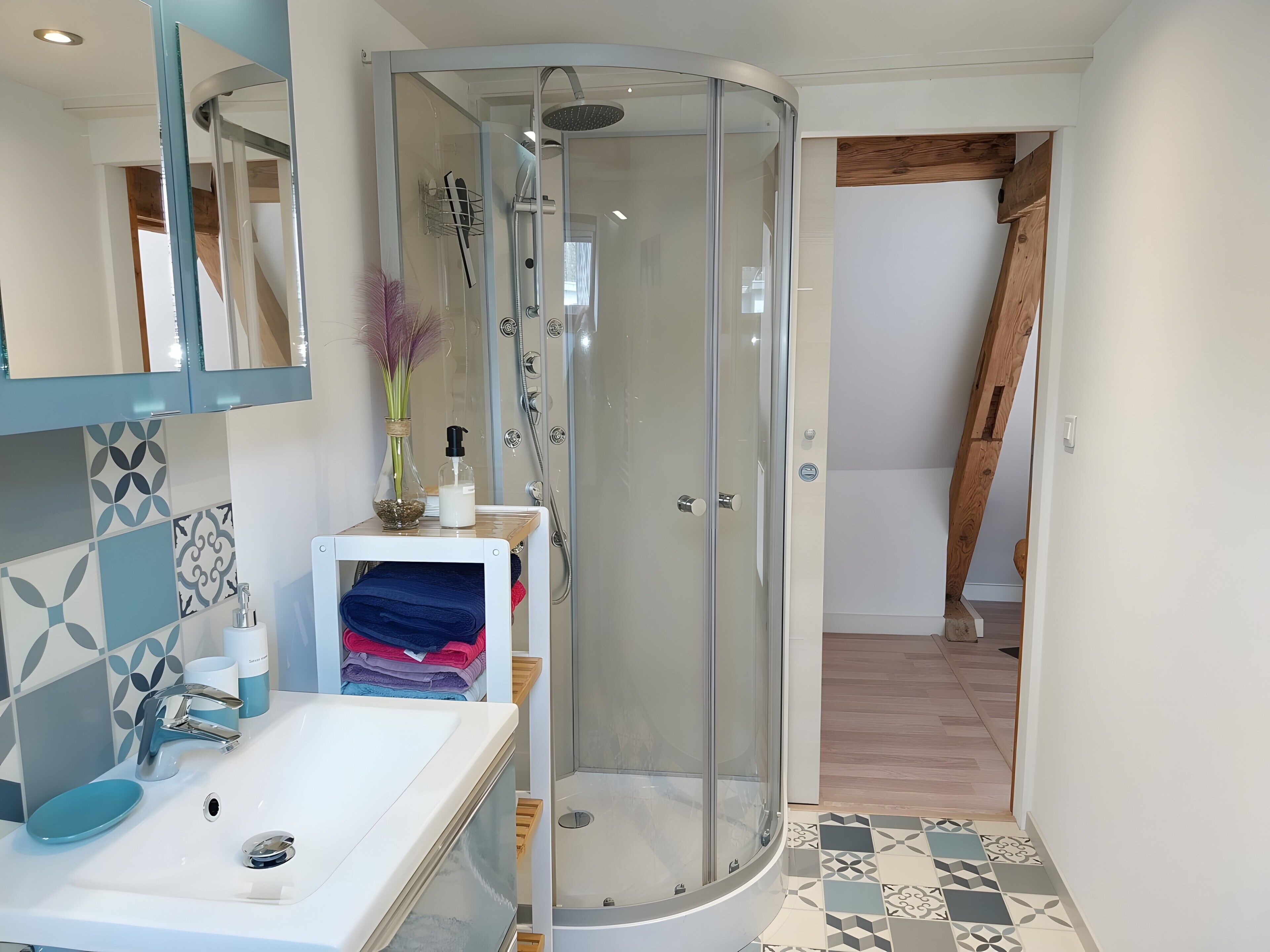 Shower, hair dryer, towels