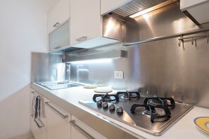 Fridge, oven, stovetop, dishwasher - Ca' Lipoli - Four Bedroom Apartment, Sleeps 6 (Venice)