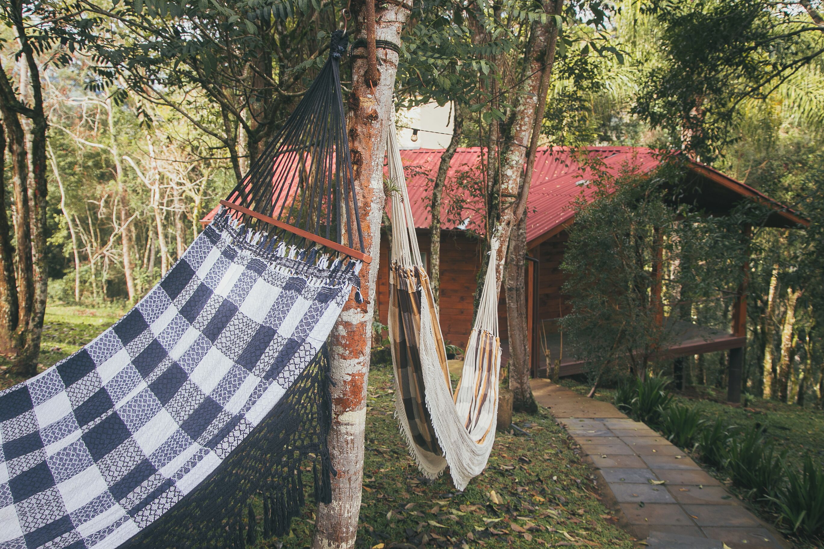 A hammock tied to a tree in a wooded area with a rustic cabin in the background.