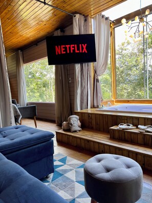 Premium Cabin | Living area