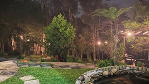 A nighttime garden with a pond, stone pathway, and various plants. - Pousada Hinckel (Alfredo Wagner)