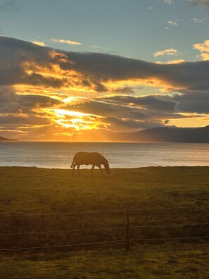 Miscellaneous - Sea breeze pod (Onich)