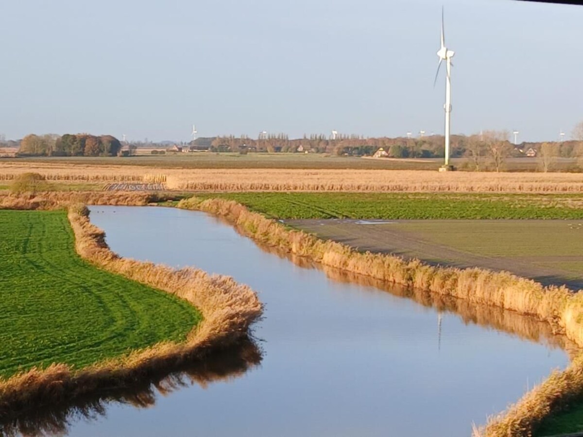 オーナーのプロフィール画像