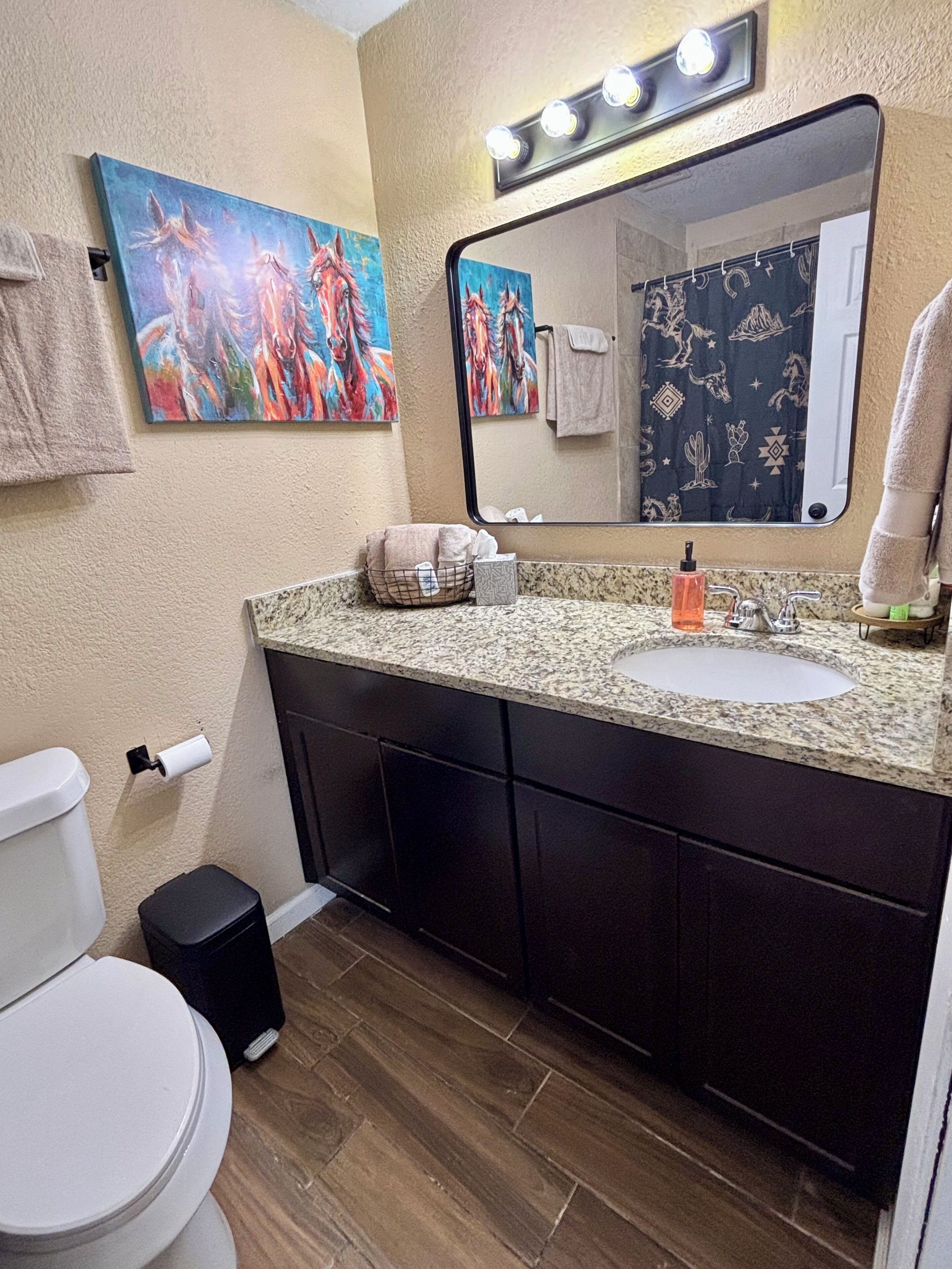 Hair dryer, towels, soap, toilet paper