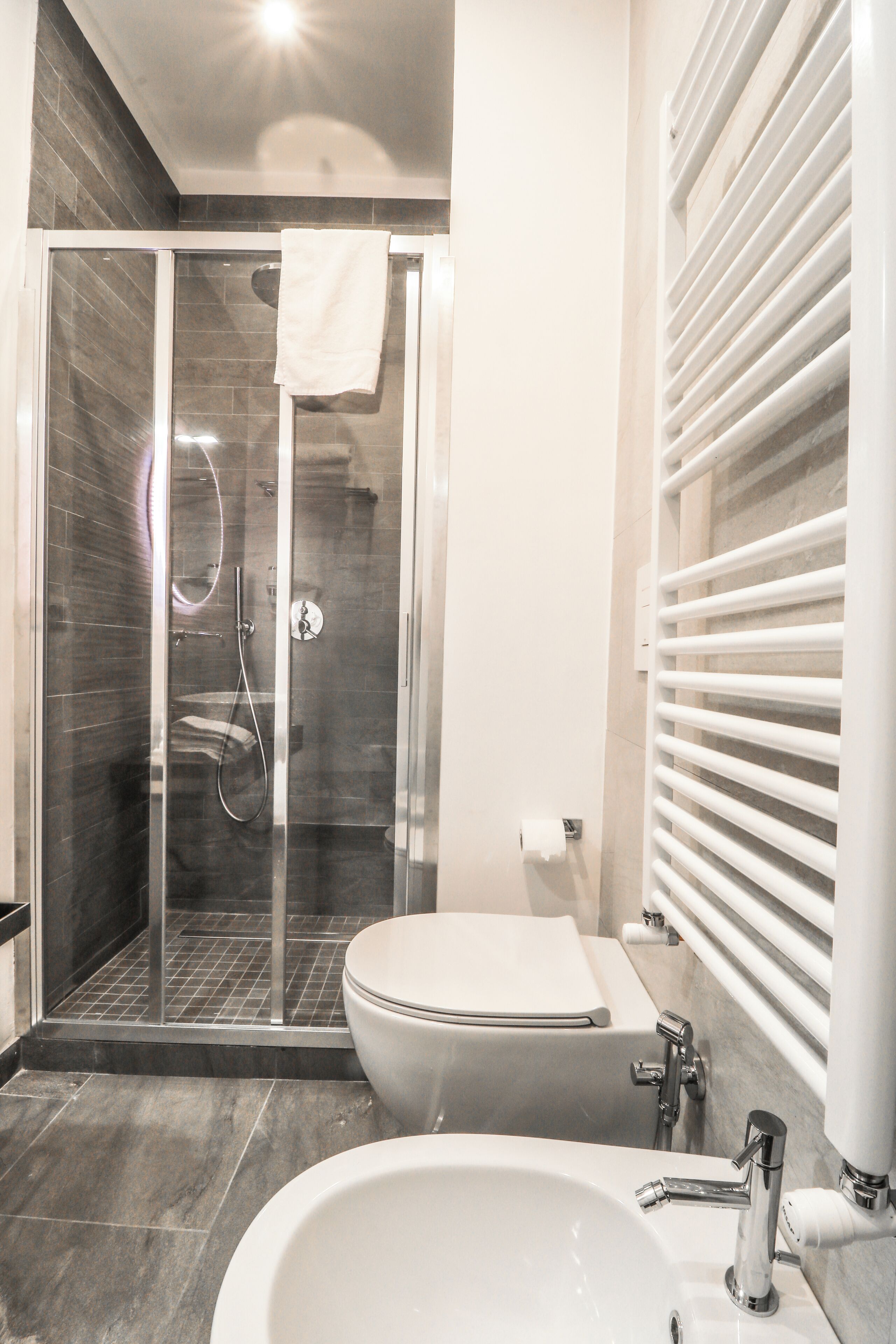 Shower, hair dryer, bidet, towels