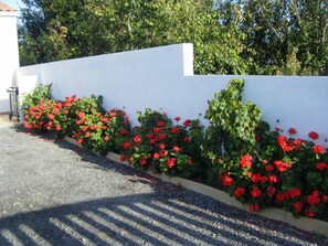 Property grounds - House for rent 4 people 800m from the beaches of Notre Dame de Monts 85690 (Notre-Dame-de-Monts)