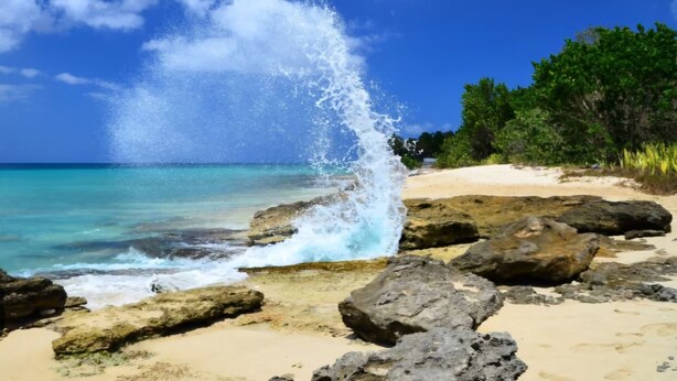 Una playa con agua turquesa cristalina, un primer plano rocoso y un área boscosa en el fondo.