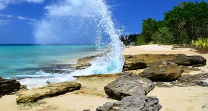 Perfect 3-bedroom house with AC and pool in a gated community in Frederiksted