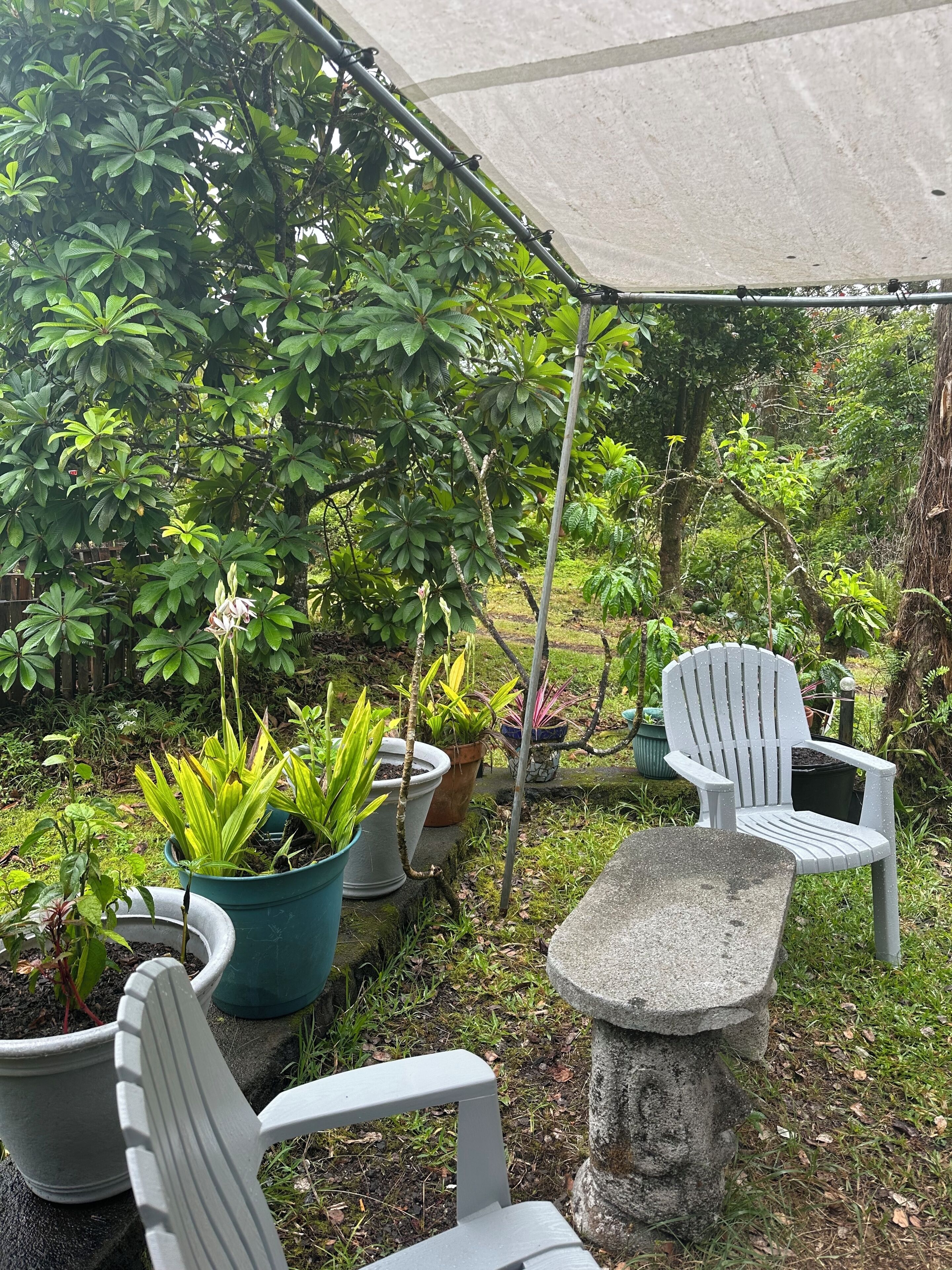 Área da propriedade