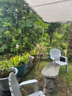 Property grounds - Glam camping in a private artistic solar eco-cabin (Keaau)